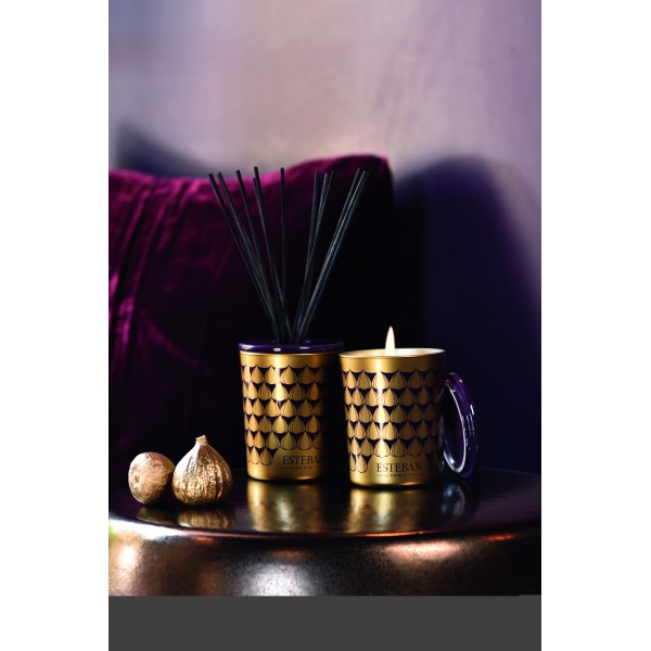 FIGUE NOIRE Dekoracyjne pałeczki zapachowe 100ml Esteban Paris Parfums