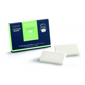 WHITE TEA & YLANG YLANG